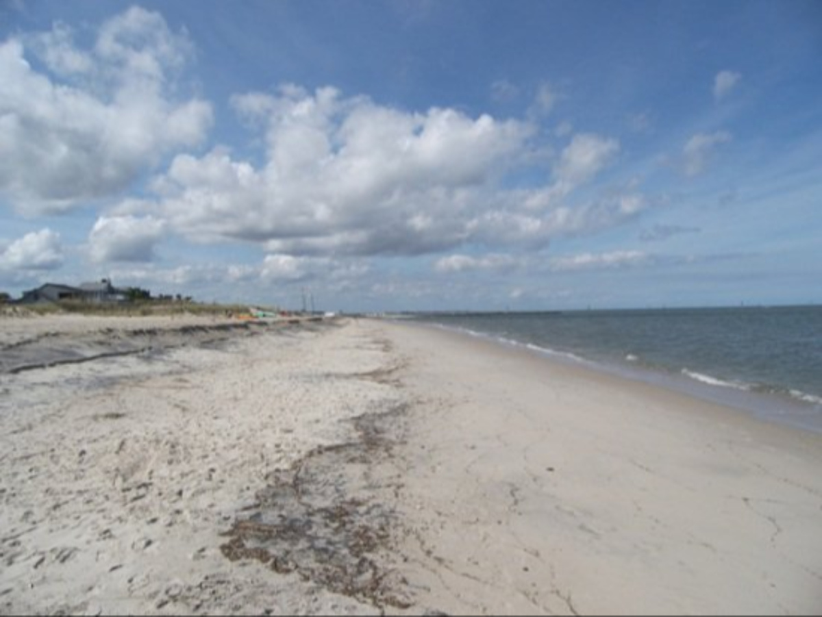 Cape Henlopen Delaware